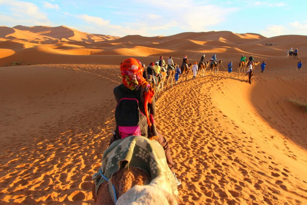 Guida al deserto del Sahara