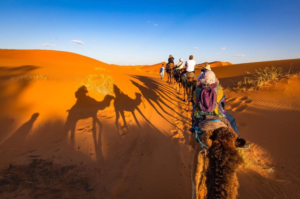 Guida al deserto del Sahara