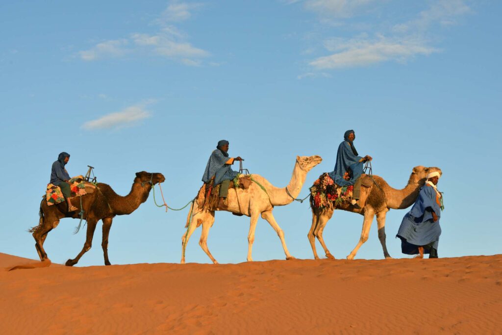 Guida al deserto del Sahara